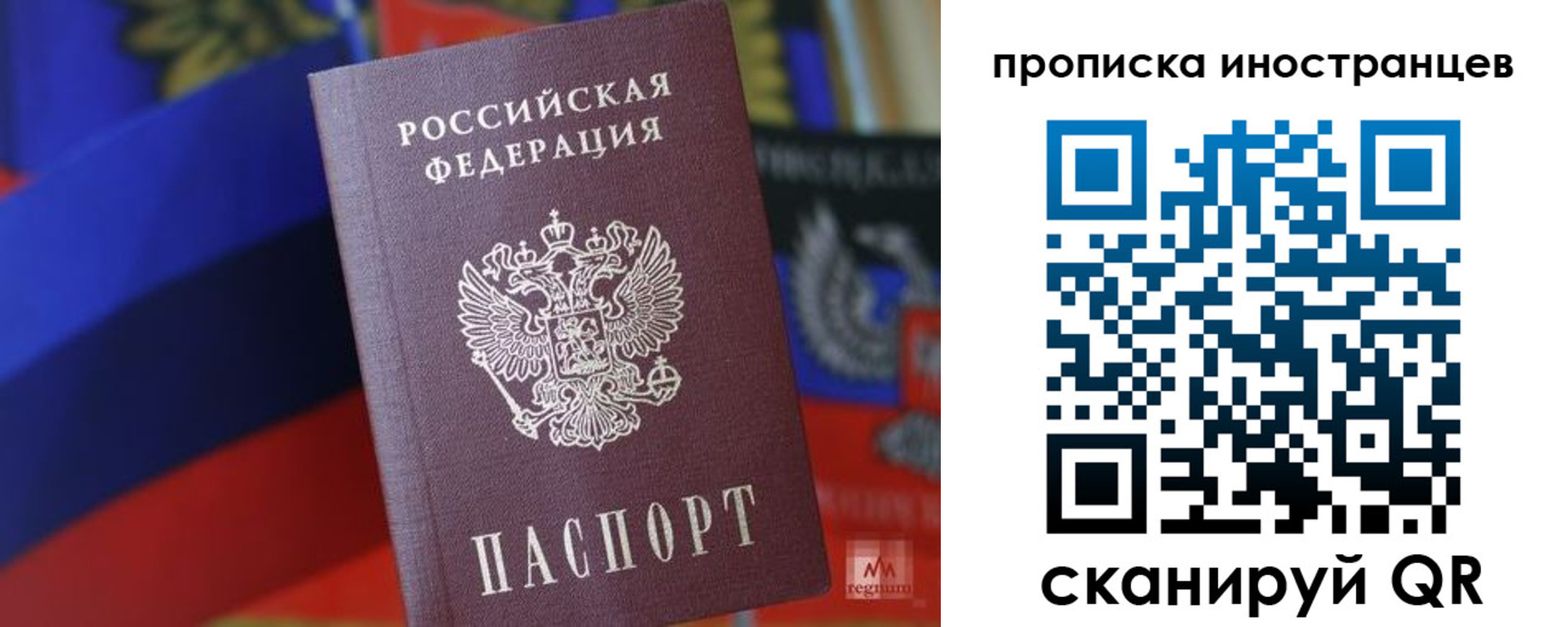 прописка законно в Ермолино